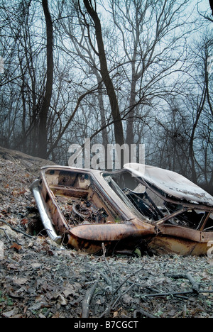 Abandoned Junk Car In The Woods, Pennsylvania, USA Stock Photo