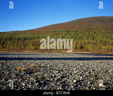 Russia. Yamal Region. Polar Urals. Autumn.