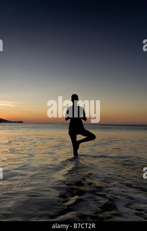 Silhouette of female doing tree pose yoga on the cliff. Woman ...