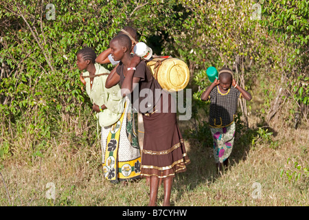 Masai girls carrying water from small stream Masai Mara North Reserve Kenya Stock Photo