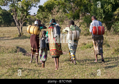 Masai girl carrying water from small stream Masai Mara North Reserve Kenya Stock Photo