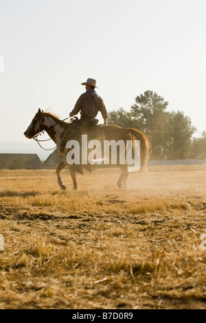 A cowboy riding a horse Stock Photo