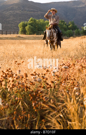 A cowboy riding a horse through a field Stock Photo