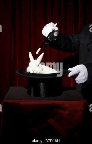 The gloved hands of a magician performing a magic trick with a rabbit in a top hat Stock Photo