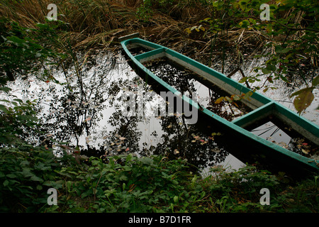 A row boat sunk in a small stream Stock Photo