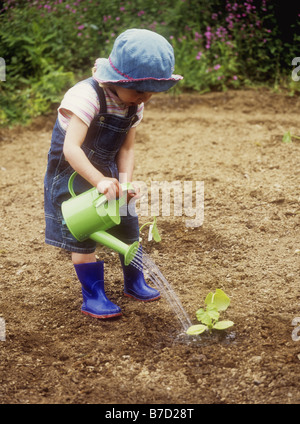 Toddler watering courgette seedlings Stock Photo