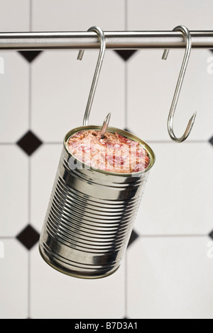 A can of meat hanging from a butchers hook Stock Photo