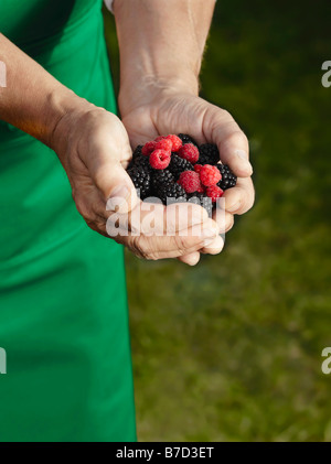 Hands holding a mix of raspberries and blackberries