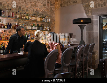 Male bartender talking to customers Stock Photo