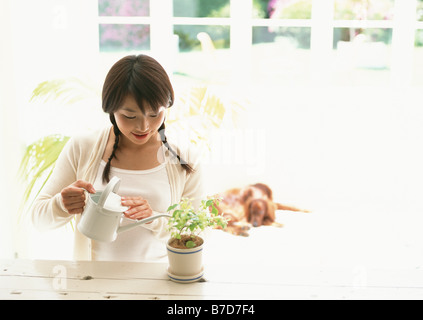 Woman watering potted plant Stock Photo