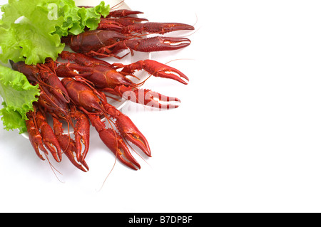 Delicious cooked crayfishes served with green salad leaves isolated on white background Stock Photo