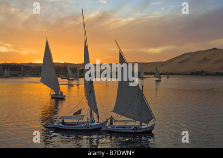 Traditional wooden sailing boats or Feluccas at sunset sailing on the river Nile at Aswan Egypt Middle East Stock Photo
