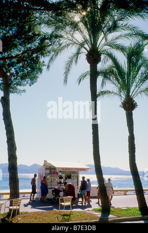 Palm tree and ice cream shop on the Croisette in Cannes Stock Photo