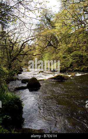 The Afon ( river) Dwyfor river valley in springtime near Criccieth in North Wales Stock Photo