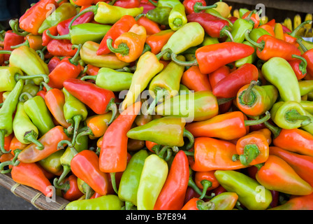 Basket full of peppers, Carbon Market, Downtown Cebu City, Cebu, Visayas, Philippines Stock Photo