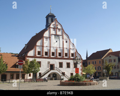 city hall in Grimma, Germany, Europe, Germany, Saxony Stock Photo