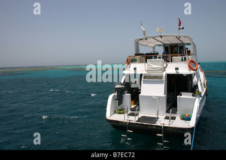 'motor boat', boat, sea, ocean, occean, 'red sea', marine, padi, dive, sharm, 'sharm el sheikh', leisure, cruise, vacacation, ho Stock Photo