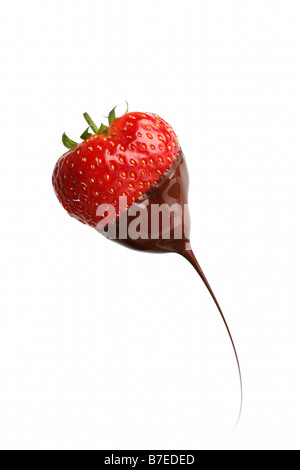 Strawberry dipped in chocolate Stock Photo
