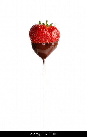 Strawberry dipped in chocolate Stock Photo