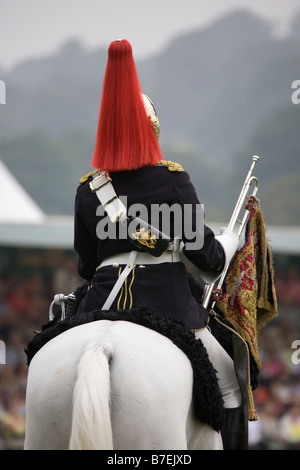 Back view of mounted Trumpeter at the Musical Ride of the Household Cavalry display, Chatsworth Country Park, Derbyshire. Stock Photo