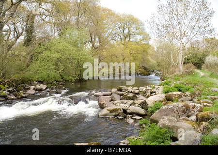 The Afon ( river) Dwyfor river valley in springtime near Criccieth in North Wales Stock Photo