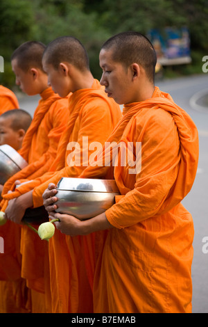 Novice Monks Collecting Alms, Thailand Stock Photo