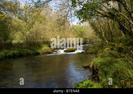 The Afon ( river) Dwyfor river valley in springtime near Criccieth in North Wales Stock Photo