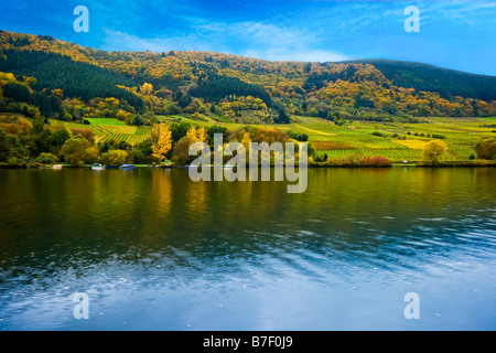 colorful wine fields along the mosel river in germany Stock Photo