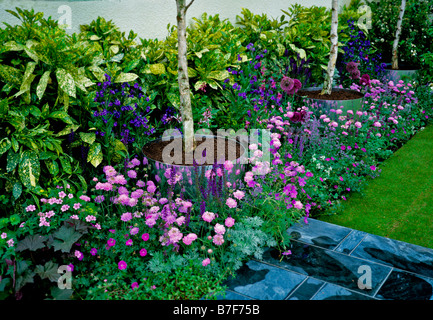 Pink and mauve border with Betulas in round reflective planters Stock Photo