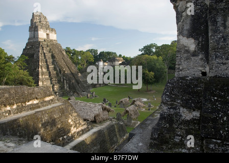 View of Temple I and the 'Grand Plaza'  from the Acropolis del Norte. Tikal, Guatemala. Stock Photo