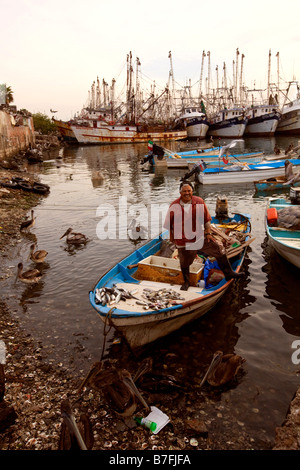 Fish Market Old Town Mazatlan SInaloa Mexico Stock Photo