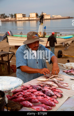 Fish Market Old Town Mazatlan Sinaloa Mexico Stock Photo