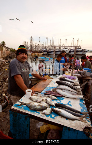 Fish Market Old Town Mazatlan Sinaloa Mexico Stock Photo