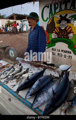 Fish Market Old Town Mazatlan Mexico Stock Photo