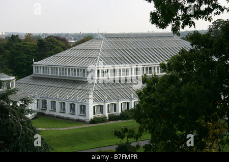 The Temperate House from the Rhizotron and Xstrata Treetop Arboreal Walkway, Royal Botanical Gardens, Kew, London, Surrey, UK Stock Photo
