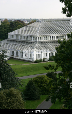 The Temperate House from the Rhizotron and Xstrata Treetop Arboreal Walkway, Royal Botanical Gardens, Kew, London, Surrey, UK Stock Photo