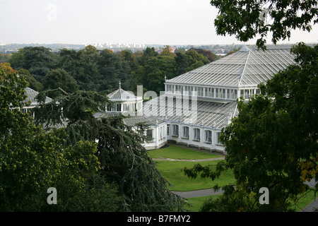 The Temperate House from the Rhizotron and Xstrata Treetop Arboreal Walkway, Royal Botanical Gardens, Kew, London, Surrey, UK Stock Photo