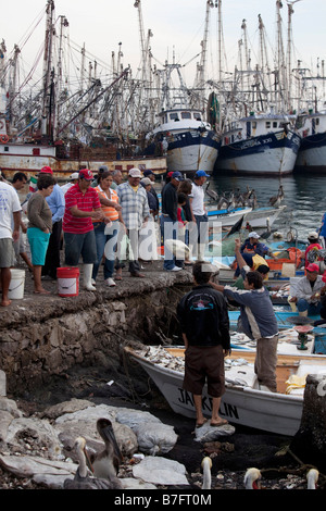 Fish Market Old Town Mazatlan Sinaloa Mexico Stock Photo