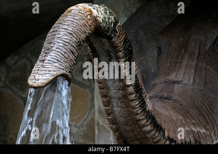 elephant trunk fountain water spout unusual different water artificial cascade Stock Photo