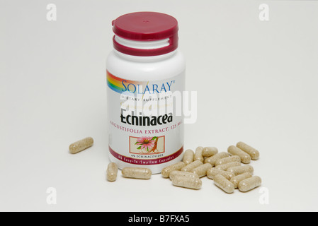 Echinacea pills capsules Stock Photo