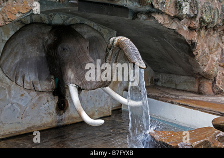 elephant trunk fountain water spout unusual different water artificial cascade Stock Photo