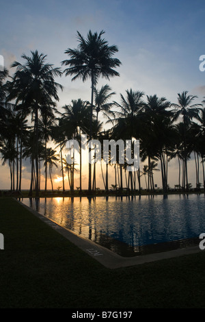 Palm tree silhouettes at sunset in Sri Lanka reflected into a large swimming pool Stock Photo