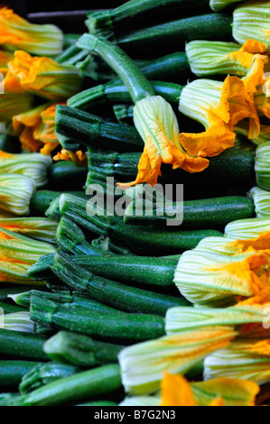 Close up of courgettes and courgette flowers Stock Photo