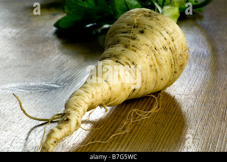A FRESHLY  PULLED PARSNIP COMPLETE WITH LEAVES AND EARTH SHOT ON A WOODEN KITCHEN TABLE Stock Photo