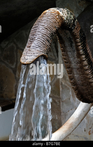 elephant trunk fountain water spout unusual different water artificial cascade Stock Photo