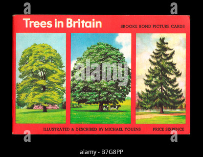Brooke Bond PG Tips picture card album Trees in Britain issued 5th September 1966 Stock Photo