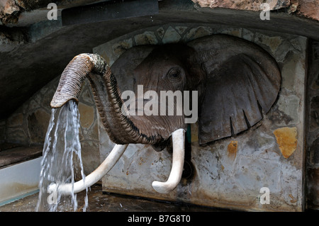 elephant trunk fountain water spout unusual different water artificial cascade Stock Photo