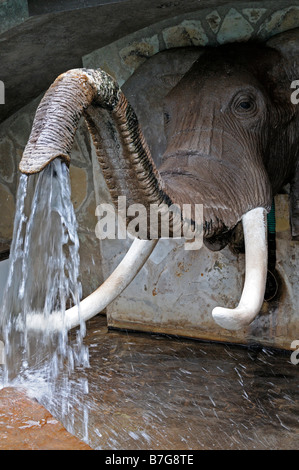 elephant trunk fountain water spout unusual different water artificial cascade Stock Photo