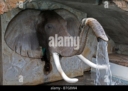 elephant trunk fountain water spout unusual different water artificial cascade Stock Photo