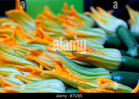 Close up of courgette flowers Stock Photo